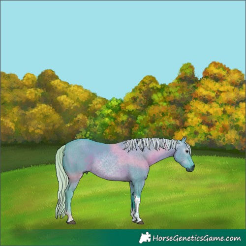 Horse Color:Gray Watercolor Silver Grullo Tobiano 