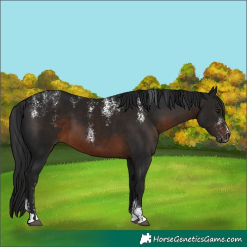 Horse Color:Powder White Gray Brown 