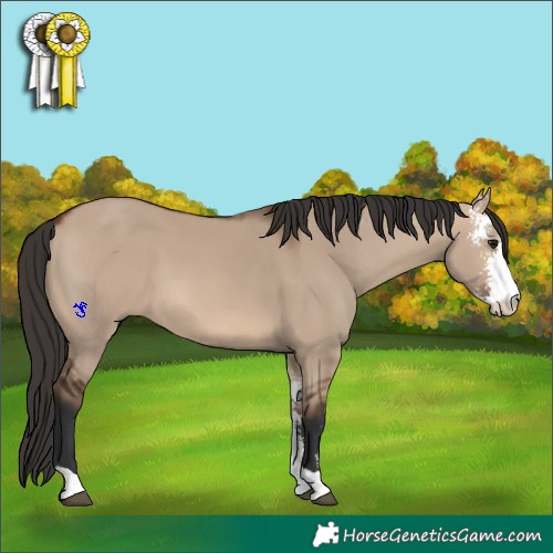 Horse Color:Brown Dun Sabino 