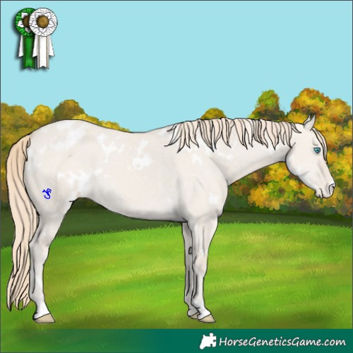 Horse Color:White Spotted Smoky Creme Dun Appaloosa 
