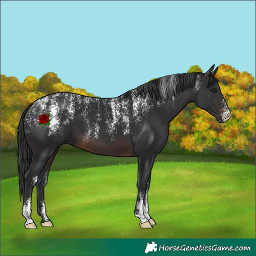 Horse Color:Powder White Brown