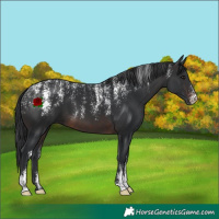 Horse Color:Powder White Brown 