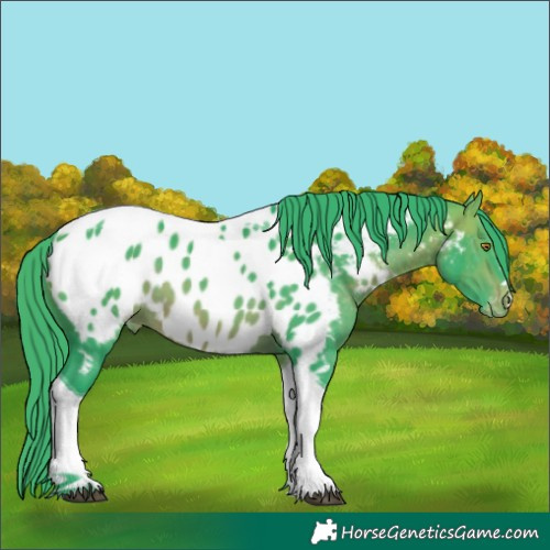Horse Color:Watercolor Brown Tobiano Blanket