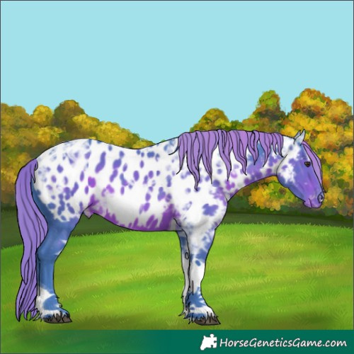 Horse Color:Watercolor Liver Chestnut Ice Tobiano Blanket 