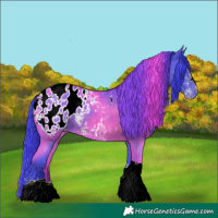 Horse Color:Watercolor Black Sabino Tobiano Appaloosa
