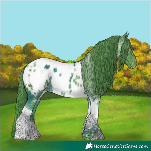 Horse Color:Watercolor Black Tobiano Blanket 