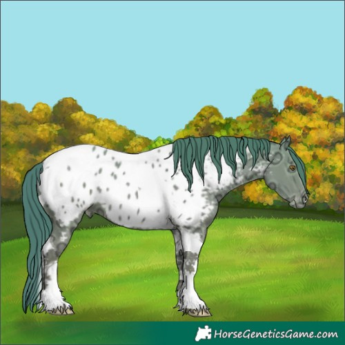 Horse Color:Watercolor Classic Champagne Ice Tobiano Near Leopard