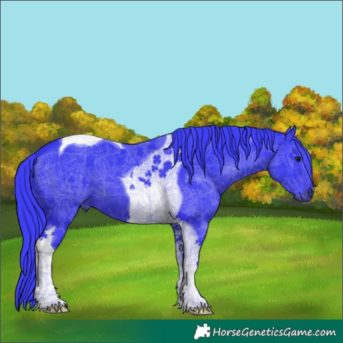 Horse Color:Watercolor Black Tobiano