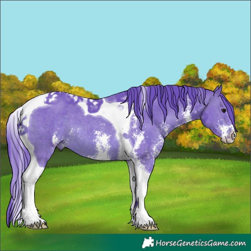 Horse Color:Watercolor Brown Sabino Tobiano