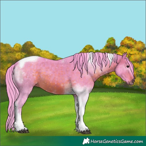 Horse Color:Watercolor Brown Tobiano 