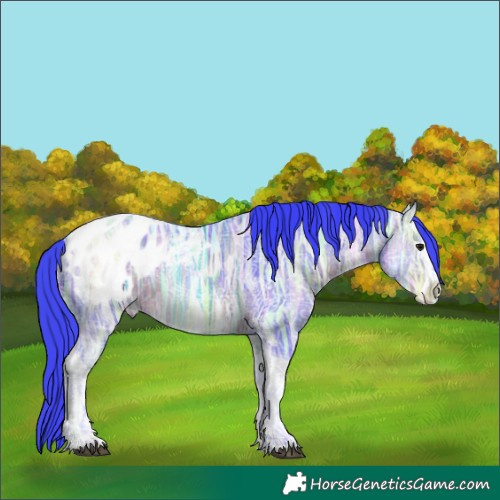 Horse Color:Watercolor Brown Ice Sabino Tobiano Blanket