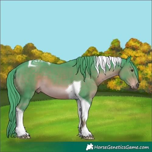 Horse Color:Watercolor Liver Chestnut Tobiano 
