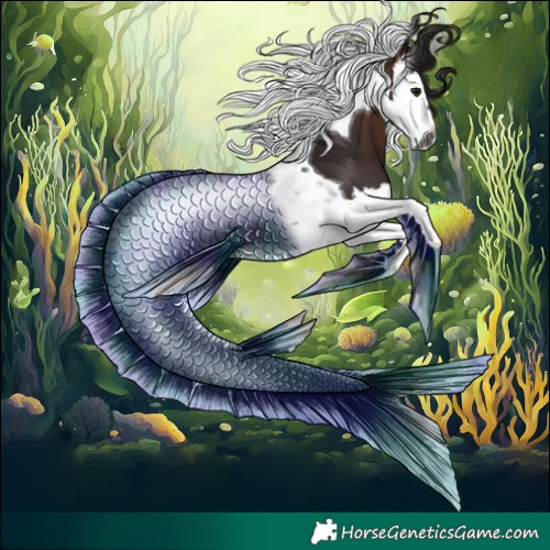 Horse Color:Gray Bay Splash Tobiano
