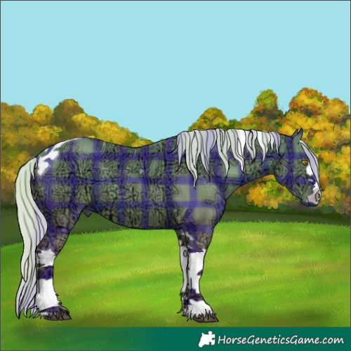 Horse Color:Watercolor Plaid Silver Black Ice Tobiano