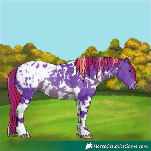 Horse Color:Painted Watercolor White Spotted Brown Tobiano Blanket