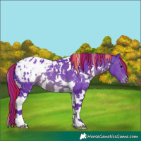 Horse Color:Painted Watercolor White Spotted Brown Tobiano Blanket