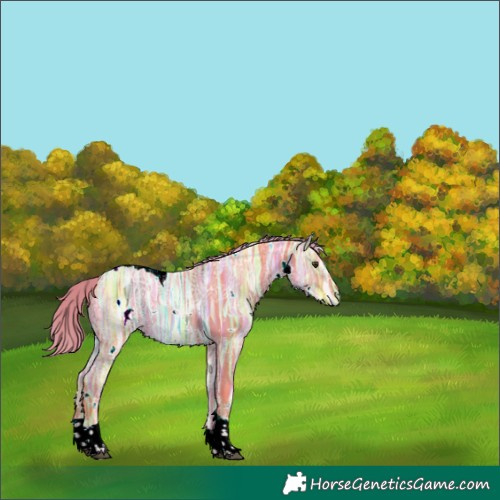 Horse Color:Watercolor White Spotted Liver Chestnut Ice Tobiano 
