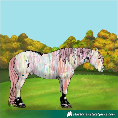 Horse Color:Watercolor White Spotted Liver Chestnut Ice Tobiano 