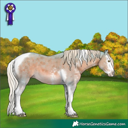 Horse Color:Watercolor Chocolate Palomino Sabino Splash Tobiano 