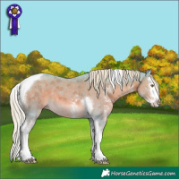 Horse Color:Watercolor Chocolate Palomino Sabino Splash Tobiano 