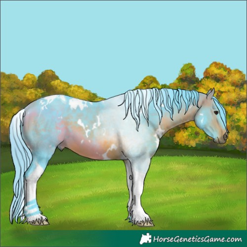 Horse Color:Watercolor White Spotted Bay Tobiano