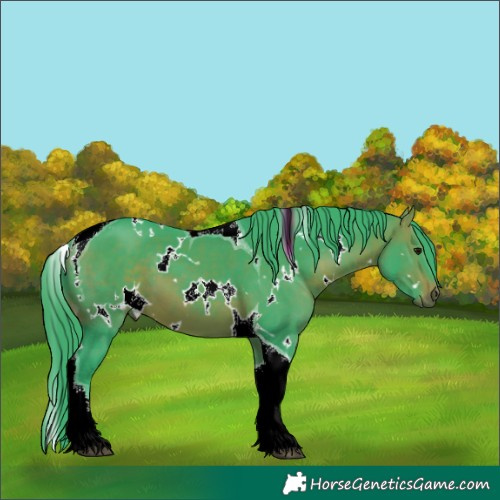 Horse Color:Watercolor White Spotted Bay Tobiano