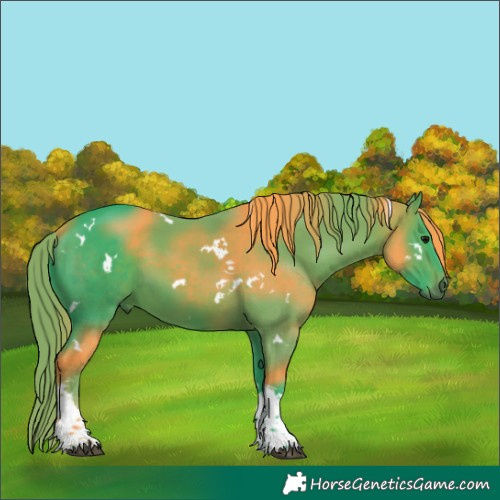 Horse Color:Watercolor White Spotted Bay Tobiano