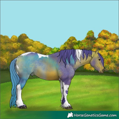 Horse Color:Watercolor Bay Tobiano