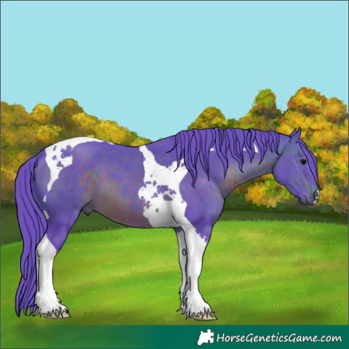 Horse Color:Watercolor Brown Tobiano