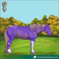 Horse Color:Watercolor Liver Chestnut Tobiano