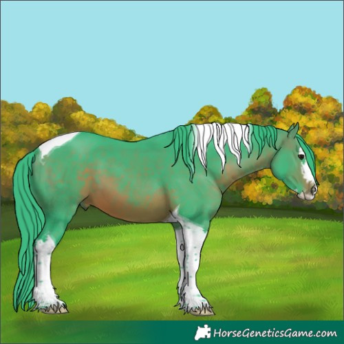 Horse Color:Watercolor Brown Splash Tobiano 