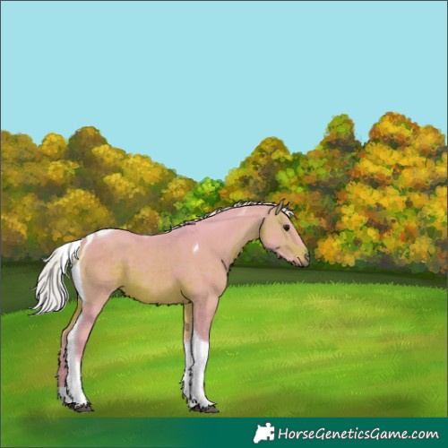 Horse Color:Watercolor Silver Brown Tobiano 