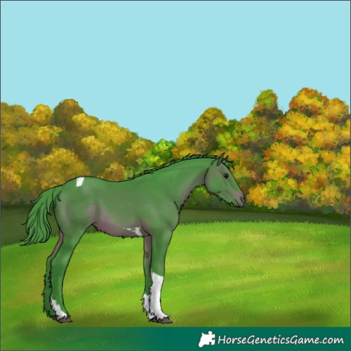 Horse Color:Watercolor Brown Tobiano 