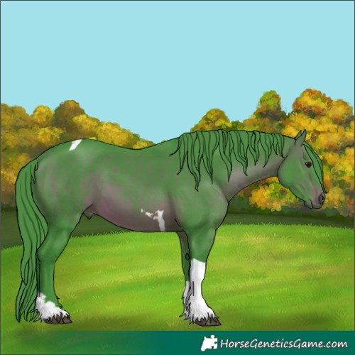 Horse Color:Watercolor Brown Tobiano