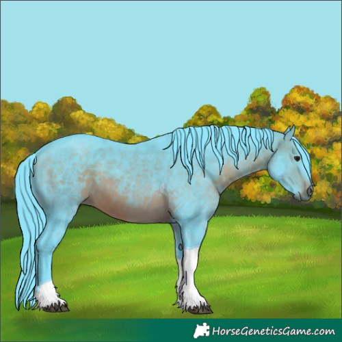 Horse Color:Watercolor Brown Tobiano