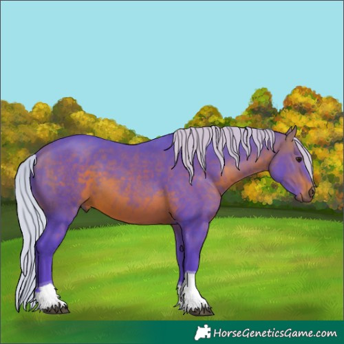 Horse Color:Watercolor Silver Brown Tobiano 