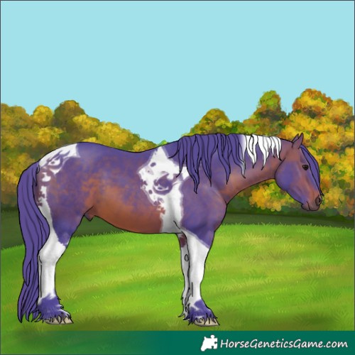 Horse Color:Watercolor Brown Tobiano