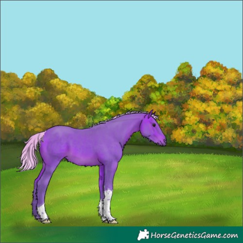 Horse Color:Watercolor Silver Bay Tobiano 