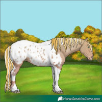 Horse Color:Painted Watercolor Silver Sable Champagne Tobiano Appaloosa 