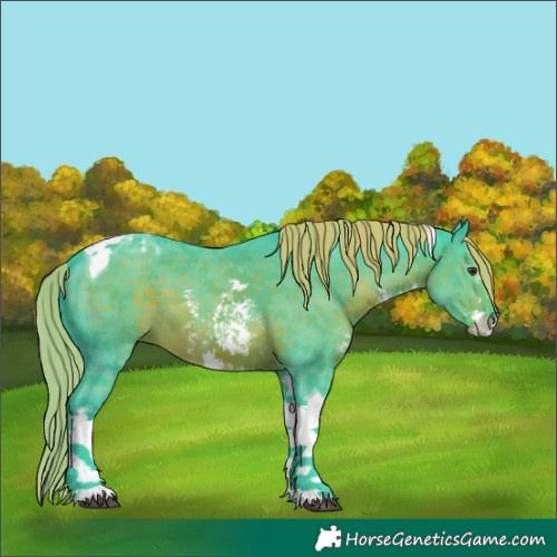 Horse Color:Watercolor Liver Chestnut Sabino Tobiano 