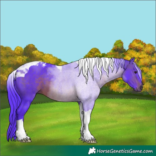 Horse Color:Watercolor Brown Tobiano