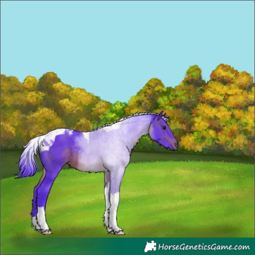 Horse Color:Watercolor Brown Tobiano 