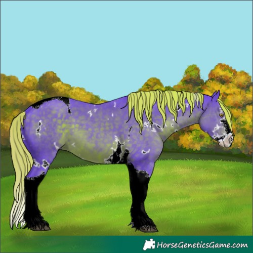 Horse Color:Watercolor White Spotted Liver Chestnut Splash Tobiano