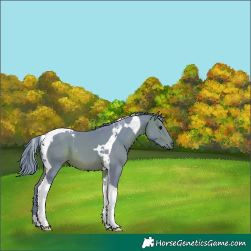 Horse Color:Watercolor Brown Tobiano 