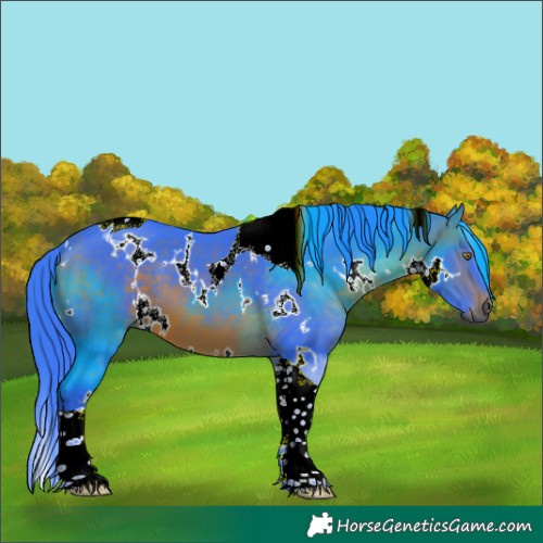 Horse Color:Watercolor White Spotted Brown Tobiano 