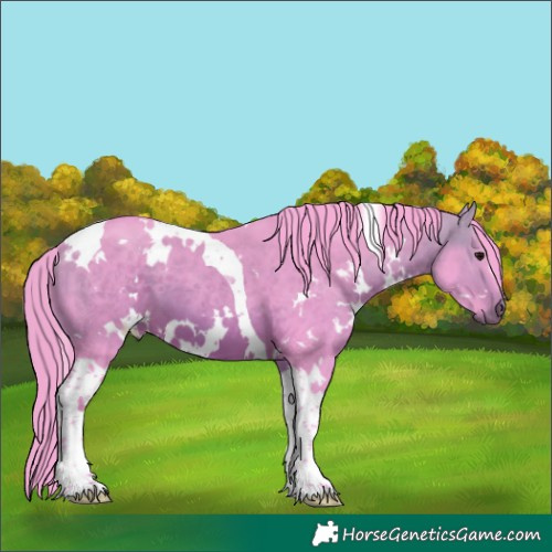 Horse Color:Watercolor White Spotted Bay Tobiano