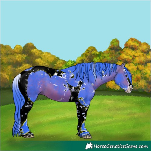 Horse Color:Watercolor White Spotted Bay Splash Tobiano 