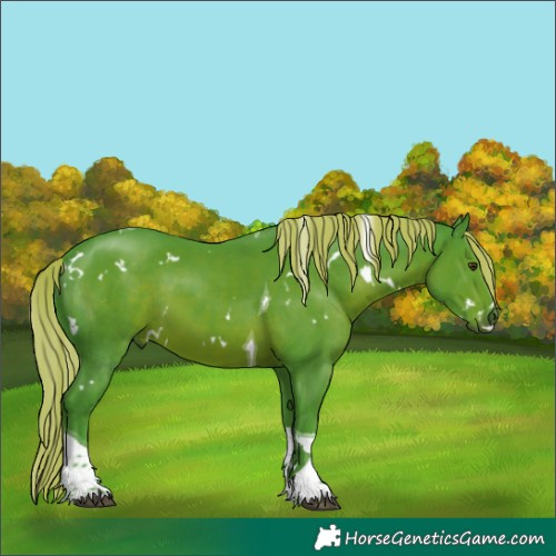 Horse Color:Watercolor White Spotted Liver Chestnut Tobiano