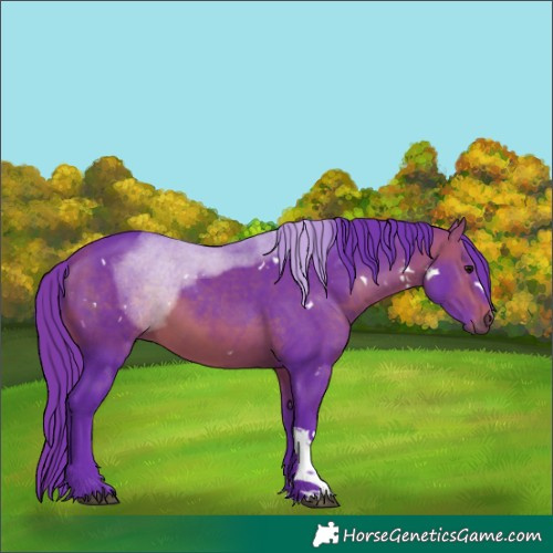 Horse Color:Watercolor White Spotted Bay Tobiano