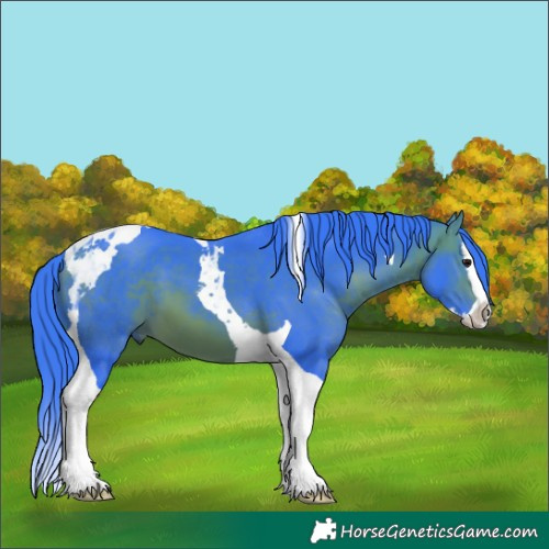 Horse Color:Watercolor Bay Splash Tobiano